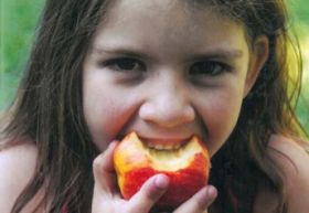 Calls to reinstate school fruit and veg scheme