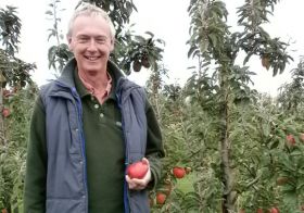 Jazz named UK's tastiest apple