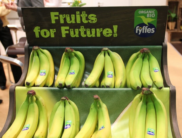 Fyffes to import more Peruvian bananas