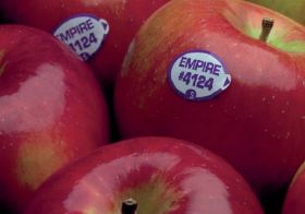 NY apple crop set for mid-August start