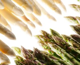 Camposol to raise asparagus prices