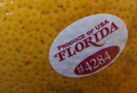 Florida grapefruit exports down again