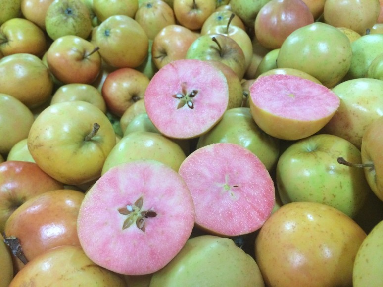 Tesco launches pink flesh apple