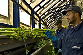 Spain’s non-EU exports grow