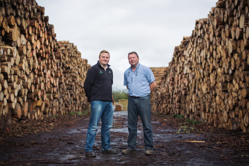 New £2m investment for Puffin Produce