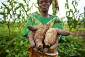 Gates Foundation backs East Africa project
