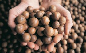 South Africa tops macadamia league