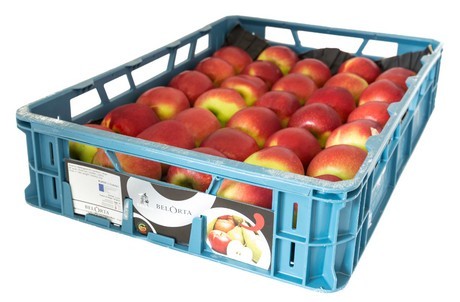 Belorta Trials New Fruit Storage System