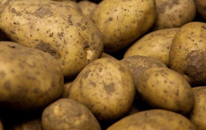Potato shortage