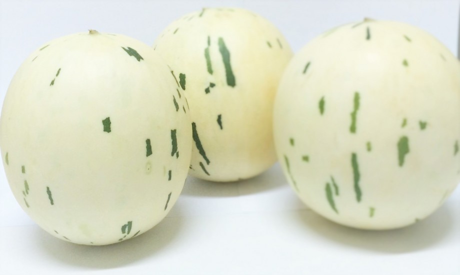 New Tesco melon may 'the next Brussels sprout'