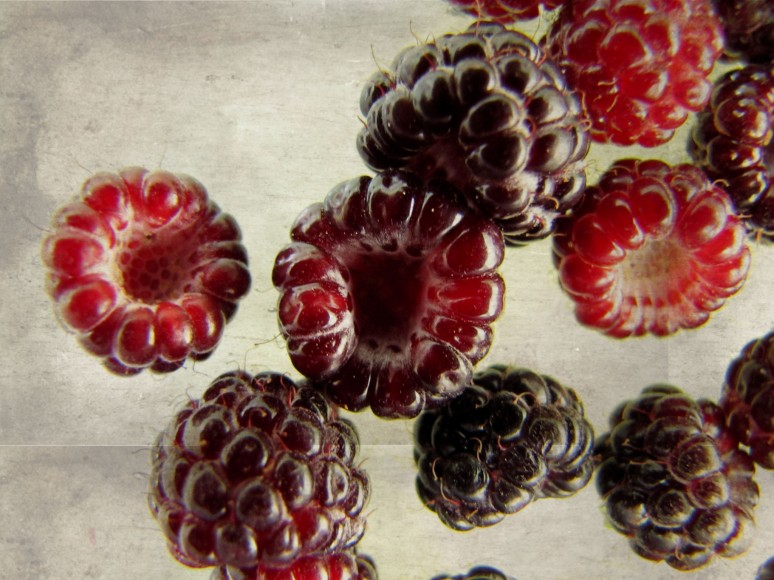 Black raspberries are 'healthier' than red, study finds