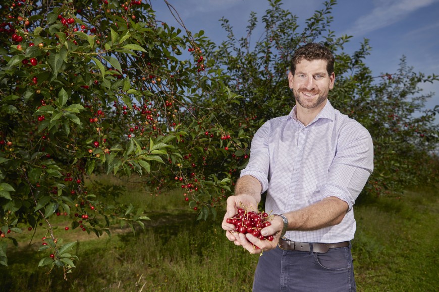 Waitrose stocks British Morello cherries