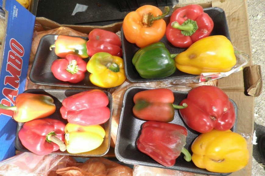 Newcastle retailer fined for selling rotten produce