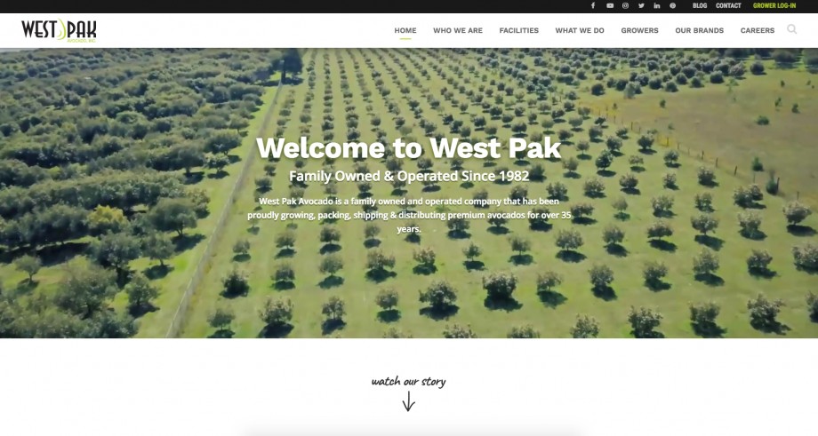 West Pak Offers Avo-opportunities