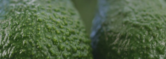 Fresca launches avocado spin-off