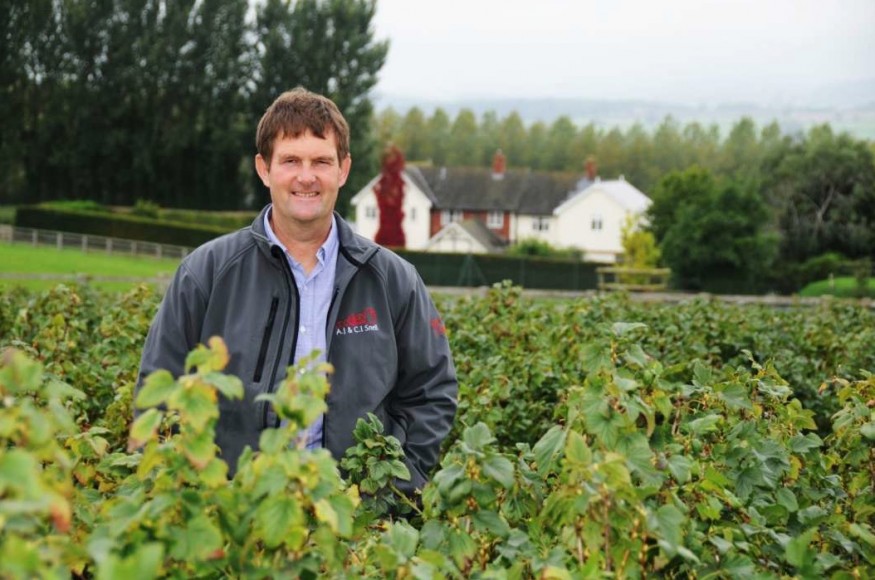 Softfruit grower launches as LEAF demo farm