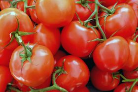 Russia restricts Fergana veg imports