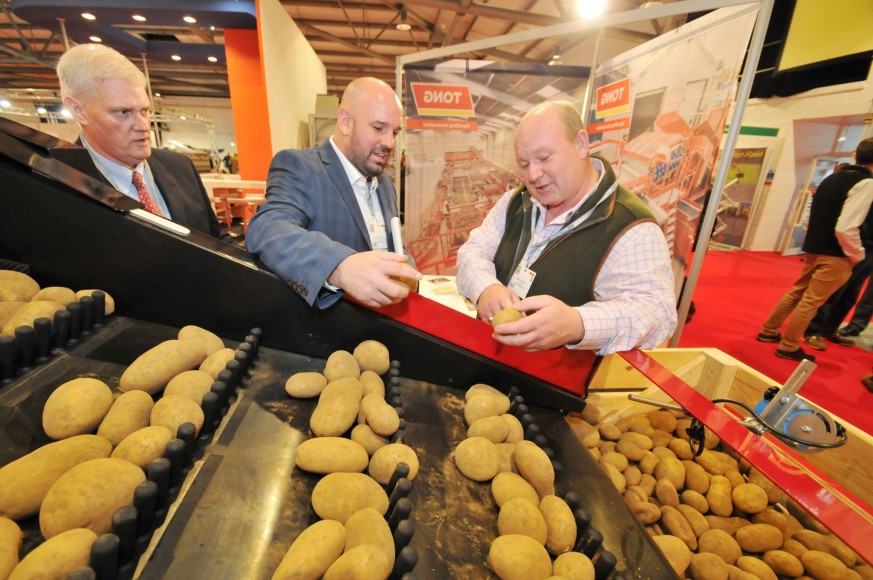873px x 580px - Renewed confidence in potato sector ahead of BP2019