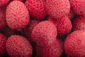IFAM boost for Australian Lychees