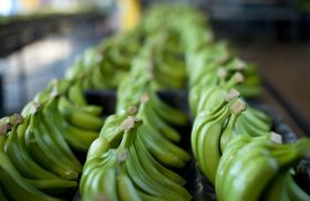 Coles debuts new ripening technology