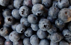 Mexican blueberry output tops 50,000 tonnes