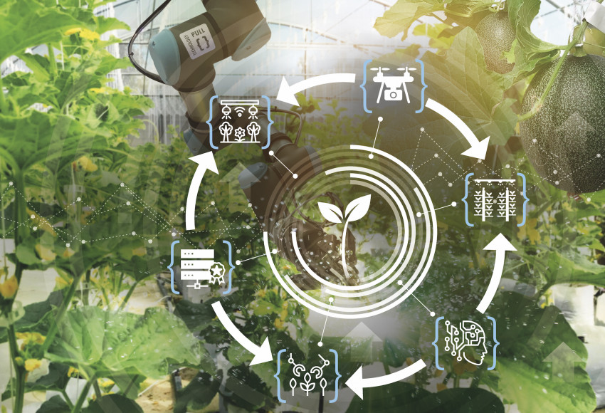 Mission technologique de l'horticulture