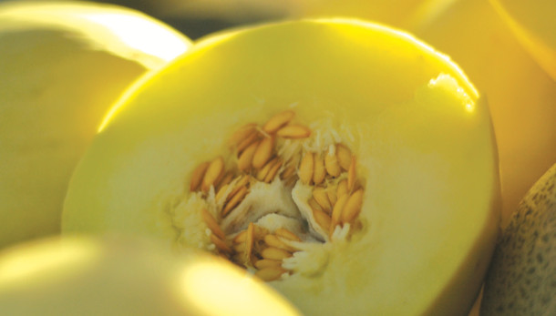  NSW tightens melon traceability 