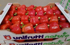 Unifrutti Group buys Spanish veg firm Dimifruit