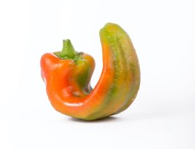Research reveals ugly produce preferences