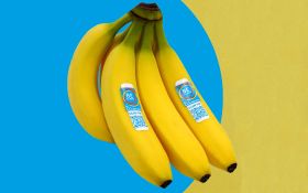 Port launches super sustainable banana
