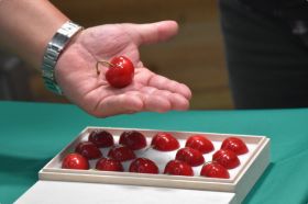 Japanese grown cherries hit new heights