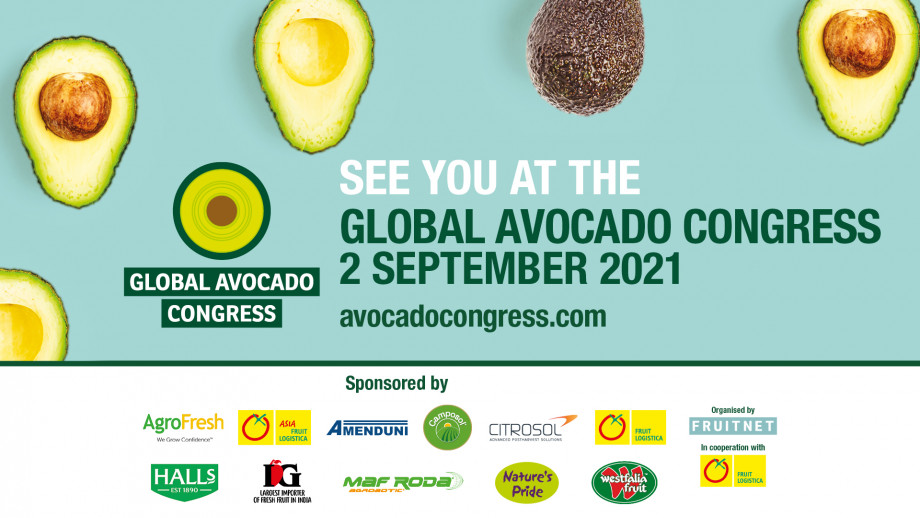 Countdown begins to Global Avocado Congress