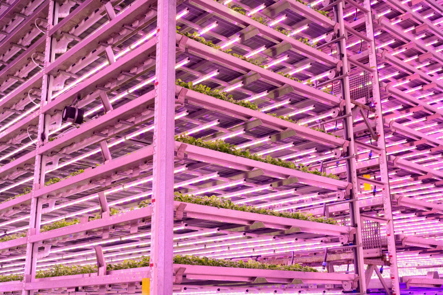 SRUC to build vertical farm