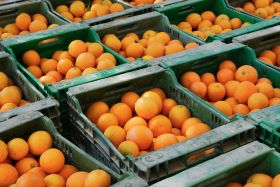 WCO releases NH citrus forecast