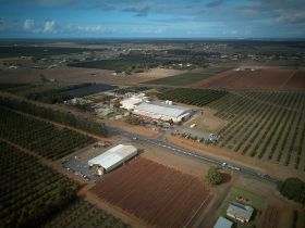 Marquis Macadamias expansion approved
