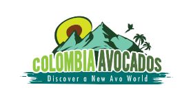Colombia Avocado Board debuts US brand