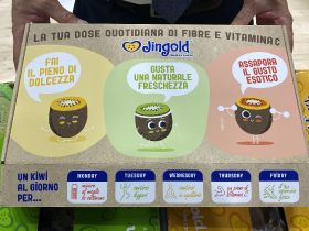 Jingold launches ecommerce website