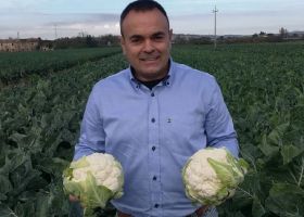 Fruvenh campaign focuses on cauliflower