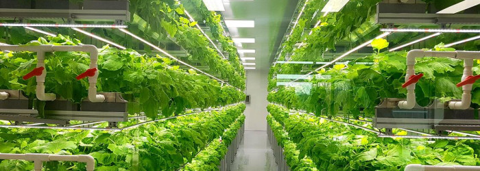 Report reveals grower concerns about greenwashing