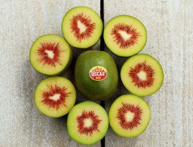 Oscar Red kiwifruit hits stores