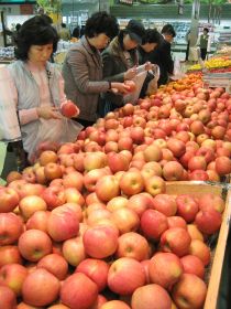 Korean apple production tipped to grow