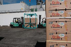 Dole NZ welcomes milestone shipment