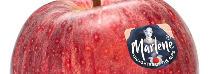 Marlene brings colour to winter apple sales