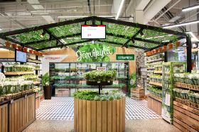 IGD unveils list of 'must-see' grocery stores