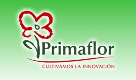 Primaflor takes GlobalGAP membership