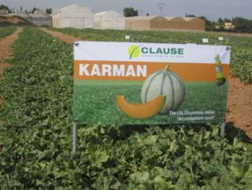 Clause presents melons in Murcia
