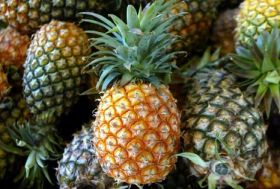 Pineapple health benefits insight