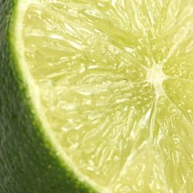 Budgens stocks new 'limelon' variety