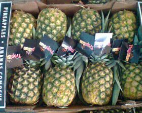 Hillfresh strikes deal in Panama
