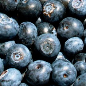 Blueberry boost for recovering athletes